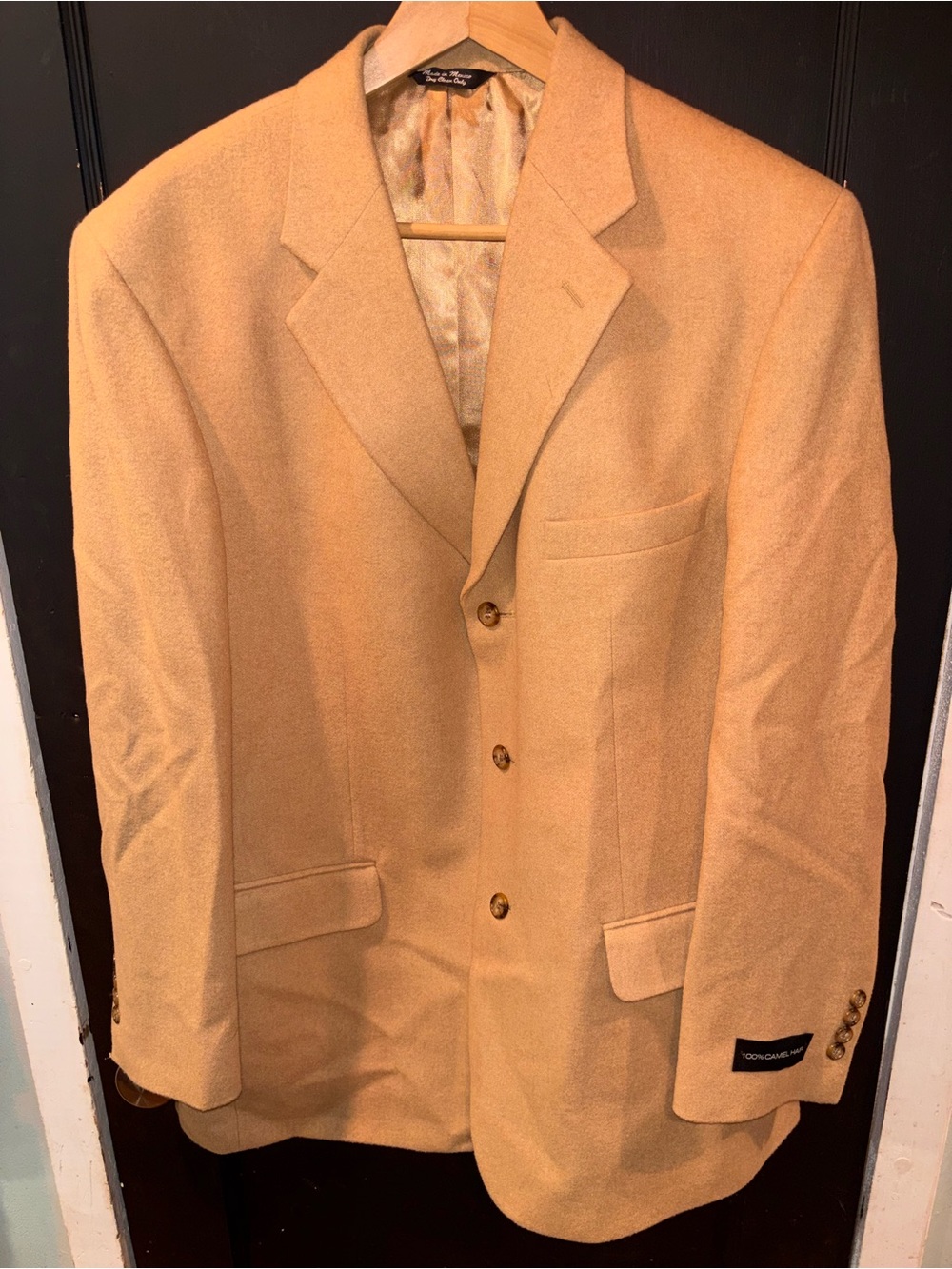 Paul Fredrick Dawson 100% Camel Hair Blazer Camel Tan 44R NWT
